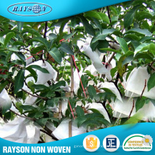 Popular Product Nonwoven Fruit Vegetable Protect Agricultural Covers